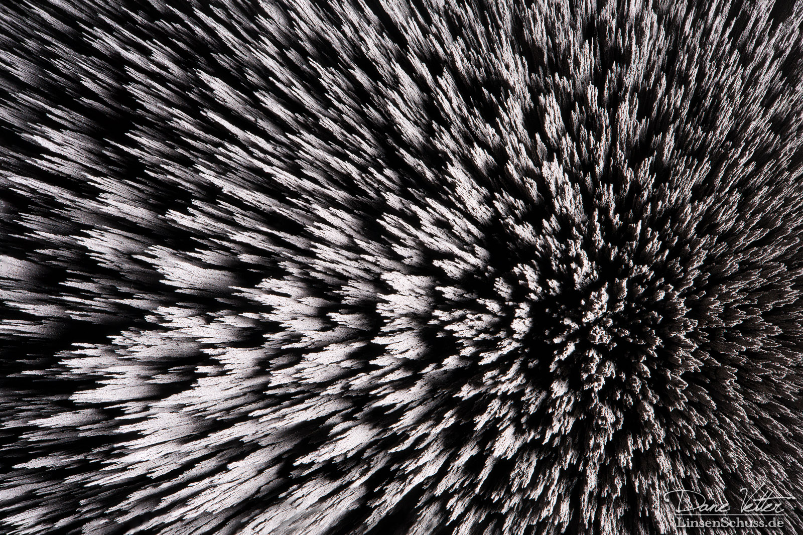 Metallspäne auf einem Magnet